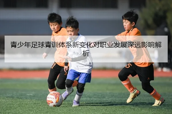 青少年足球青训体系新变化对职业发展深远影响解析